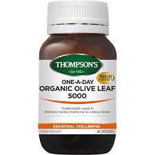 Thompsons Olive Leaf 5000 OneADay 60Cap